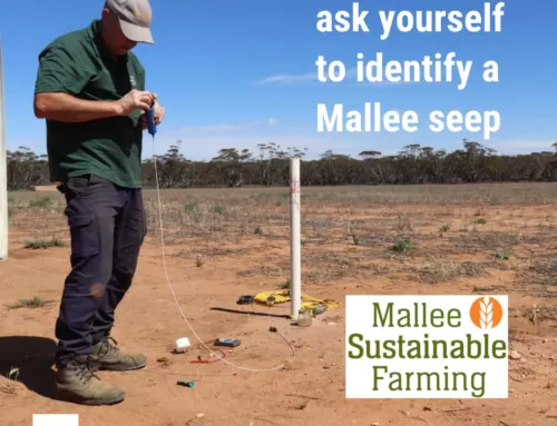 5 Questions to ask yourself to identify a mallee seep
